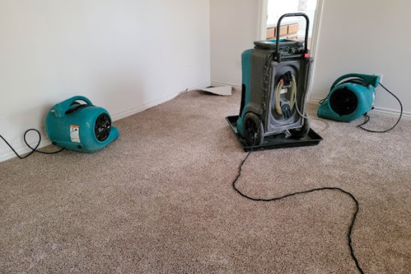 Local Water Damage Carpet Cleaning Services Local Water Damage Carpet Cleaning Services